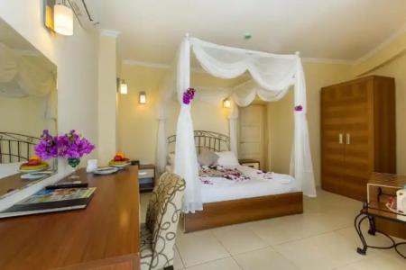 Cachet - Adult Only +14 - 54