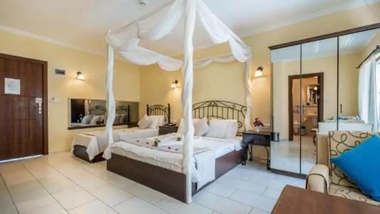 Cachet - Adult Only +14 - 68