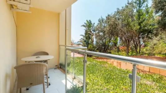 Cachet - Adult Only +14 - 69