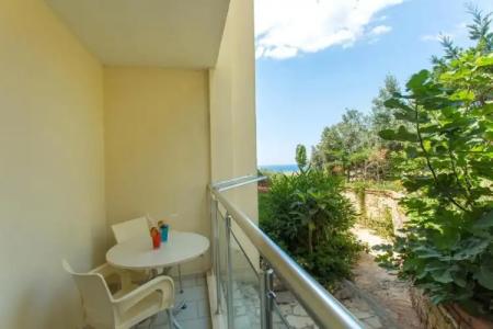 Cachet - Adult Only +14 - 43