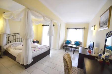 Cachet - Adult Only +14 - 40