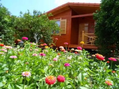 Ugur Pansiyon Bungalows - 74