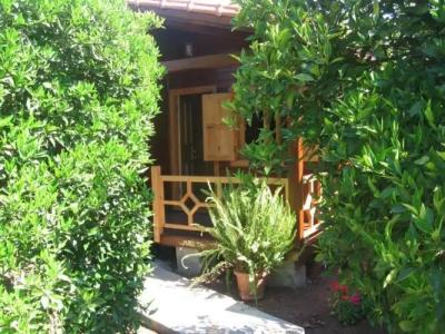 Ugur Pansiyon Bungalows - 81