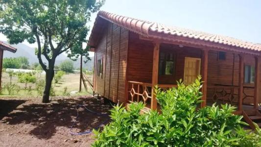 Ugur Pansiyon Bungalows - 57