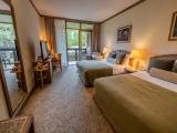 Standard Double room with balcony and garden view