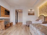 Standard room with balcony and with land view