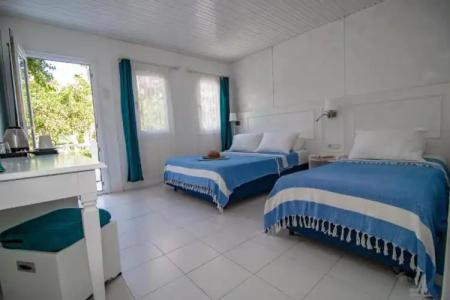 Blue & White - 35