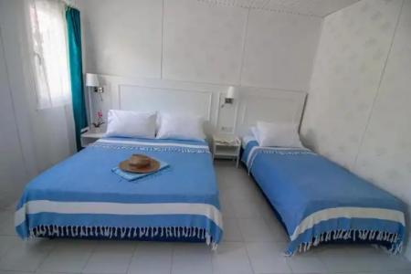 Blue & White - 33