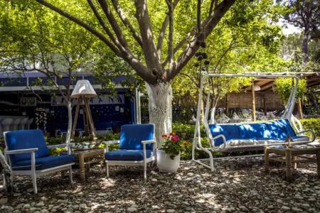 Blue & White - 12