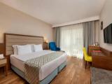 Deluxe Double room with city view