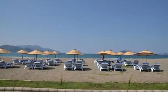 Odyssey Residence Apartments - 12