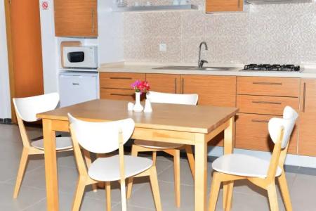 Odyssey Residence Apartments - 16