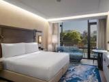 Deluxe Double room with city view