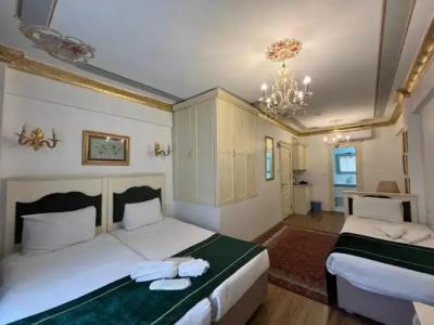 Le Safran Suite - 239