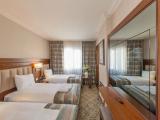 Standard Triple room with city view