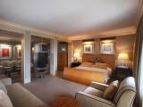 Presidential Double Suite