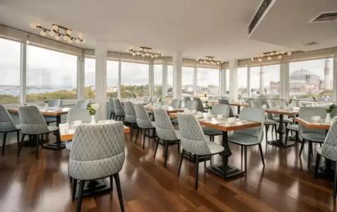 Adamar-Special Category - 17