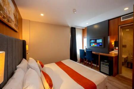 Harmony Istanbul & SPA - 24