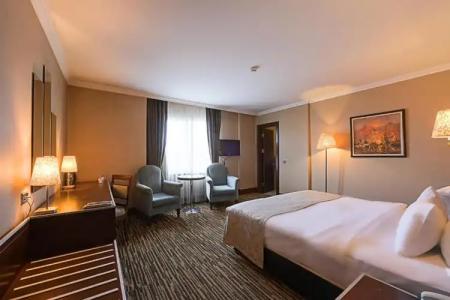 Dream Hill Business Deluxe Istanbul Asia - 108