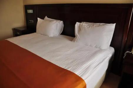 Eser Diamond Spa & Convention Center Istanbul - 40