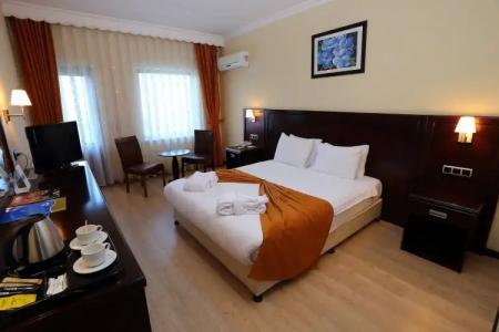 Eser Diamond Spa & Convention Center Istanbul - 4