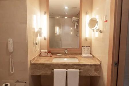 Ramada Plaza by Wyndham Istanbul City Center - 104