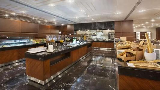 DoubleTree by Hilton Istanbul-Avcilar - 10