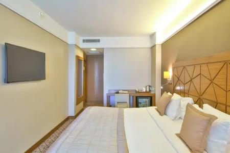 Ramada By Wyndham İstanbul Taksim - 118