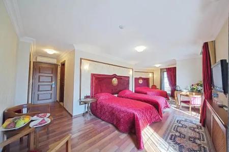 Antea Palace & Spa - 126