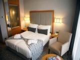 Standard Double room with garden view