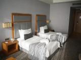 Standard French Double room with garden view