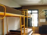 Bed in Dorm with city view