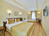 Superior room with park view