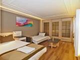 Superior Family room
