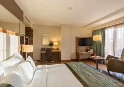 Holiday Inn Istanbul Sisli by IHG - 109