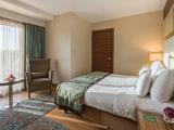Business Double Suite