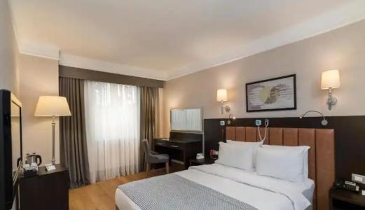 Holiday Inn Istanbul Old City, an IHG - 105