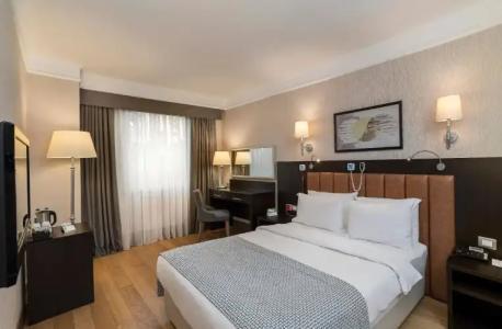Holiday Inn Istanbul Old City, an IHG - 101
