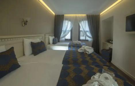 Sarnic & Sarnic Premier(Ottoman Mansion) - 29