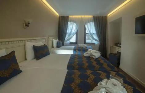 Sarnic & Sarnic Premier(Ottoman Mansion) - 63
