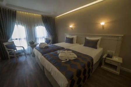 Sarnic & Sarnic Premier(Ottoman Mansion) - 28