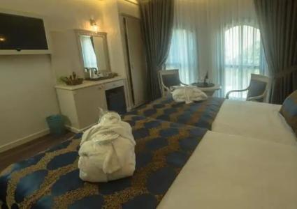 Sarnic & Sarnic Premier(Ottoman Mansion) - 70