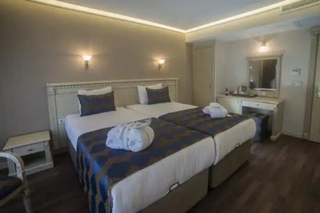 Sarnic & Sarnic Premier(Ottoman Mansion) - 2