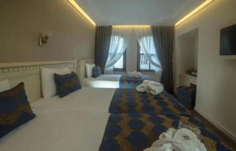 Sarnic & Sarnic Premier(Ottoman Mansion) - 67