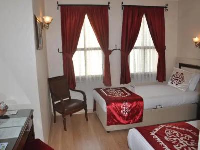 Sarnic & Sarnic Premier(Ottoman Mansion) - 69