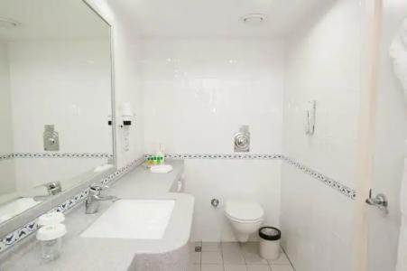 Holiday Inn Istanbul City - 68