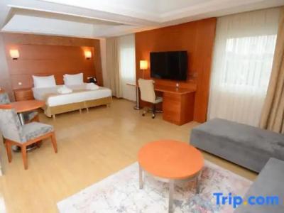 Holiday Inn Istanbul City - 105
