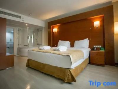 Holiday Inn Istanbul City - 103