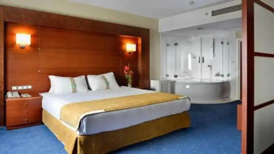 Holiday Inn Istanbul City - 65