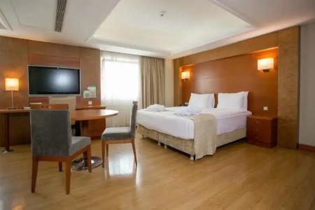 Holiday Inn Istanbul City - 89
